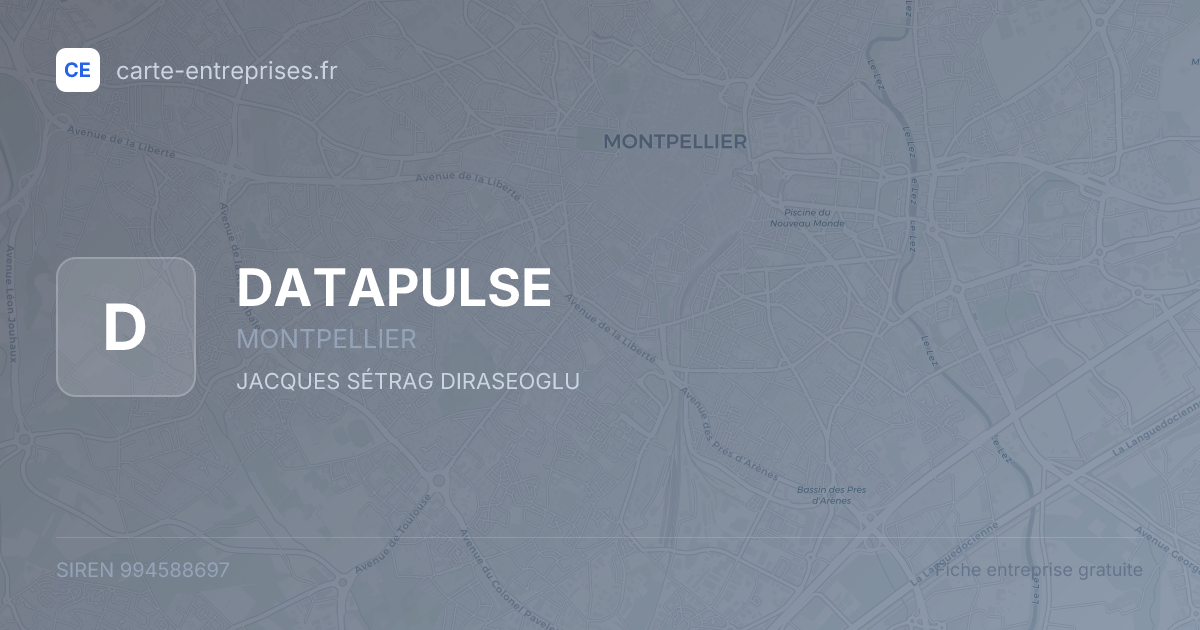 DATAPULSE — 994588697 — fiche entreprise