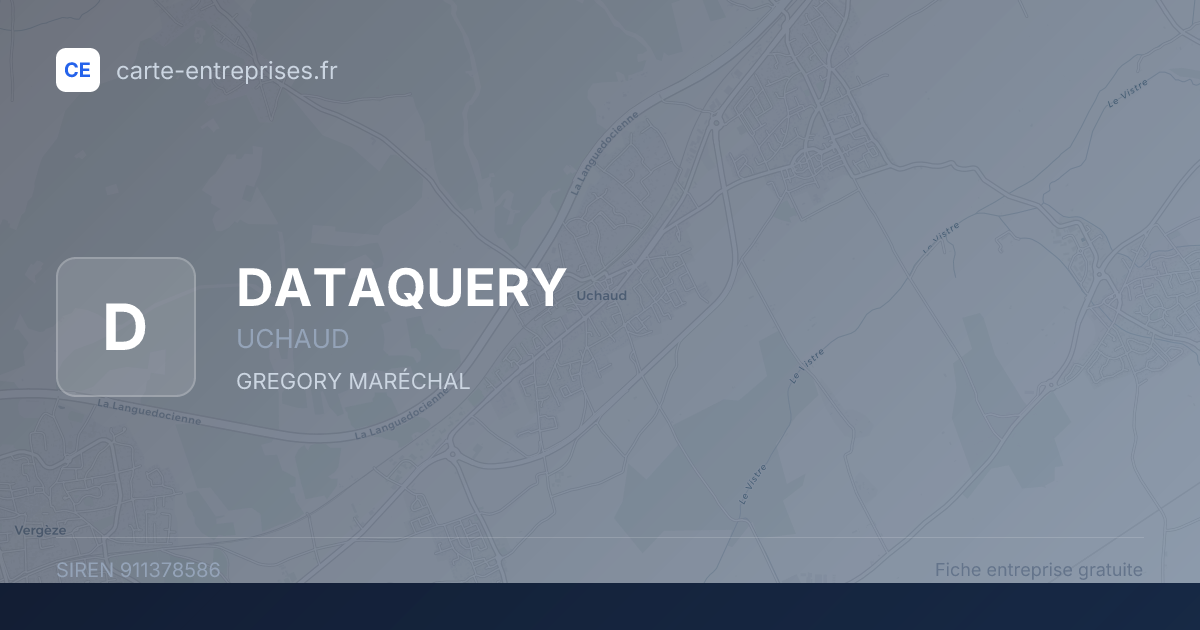 DATAQUERY — 911378586 — fiche entreprise