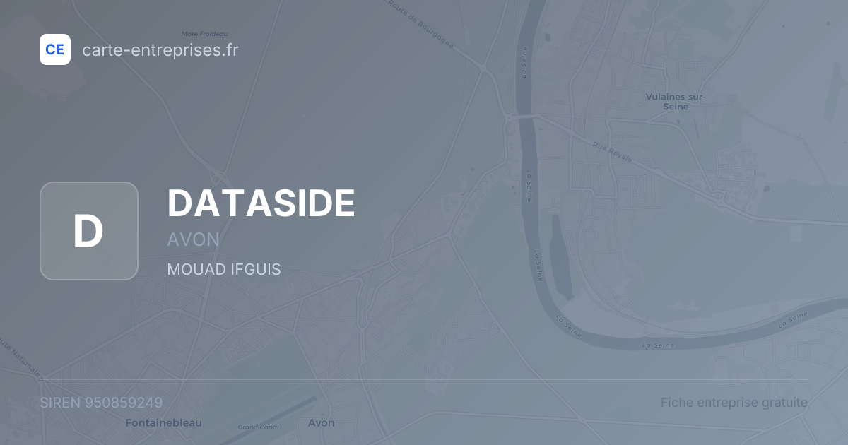DATASIDE — 950859249 — fiche entreprise