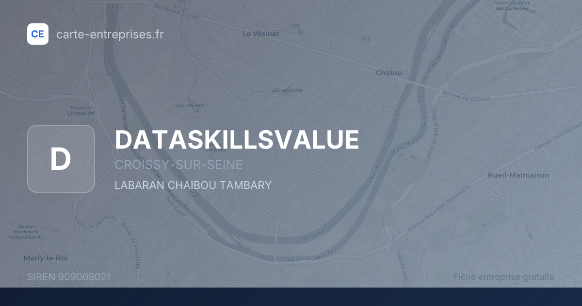 DATASKILLSVALUE — 909008021 — fiche entreprise