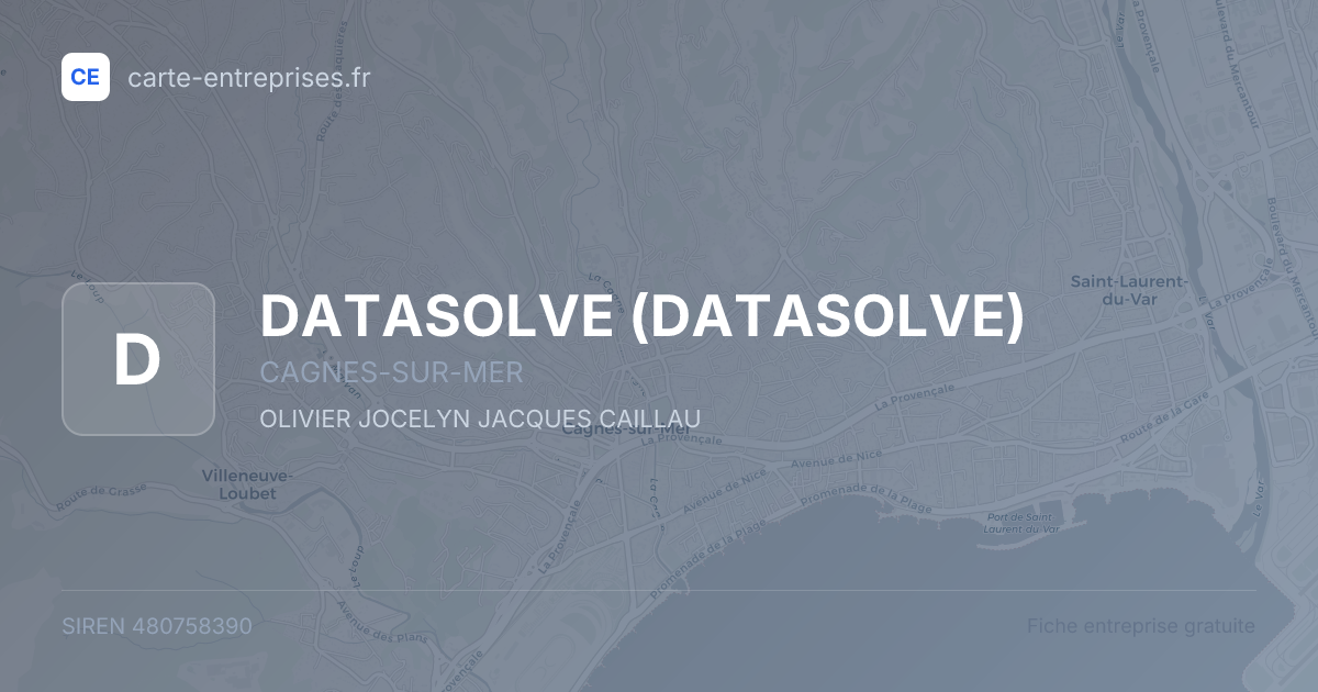 DATASOLVE — 480758390 — fiche entreprise