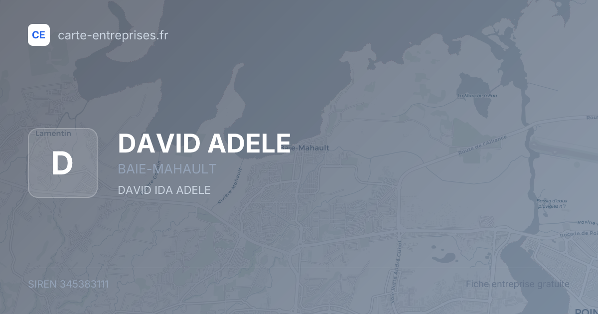 DAVID ADELE — 345383111 — fiche entreprise