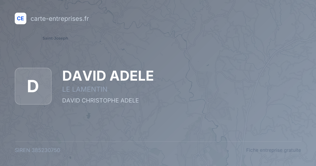 DAVID ADELE — 385230750 — fiche entreprise