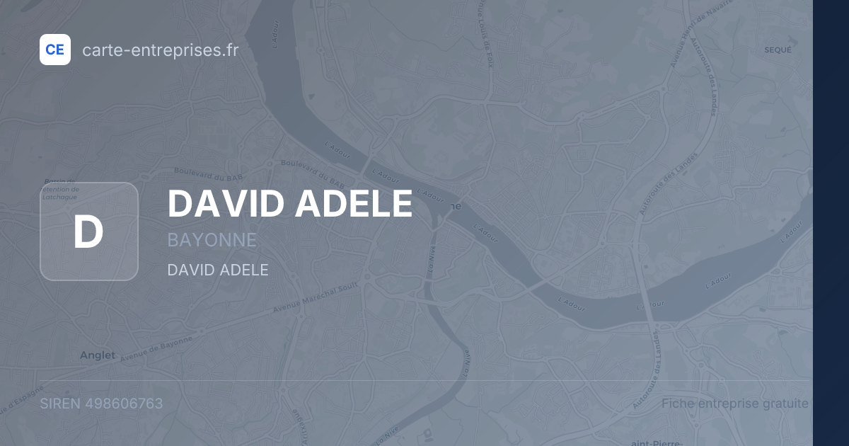 DAVID ADELE — 498606763 — fiche entreprise