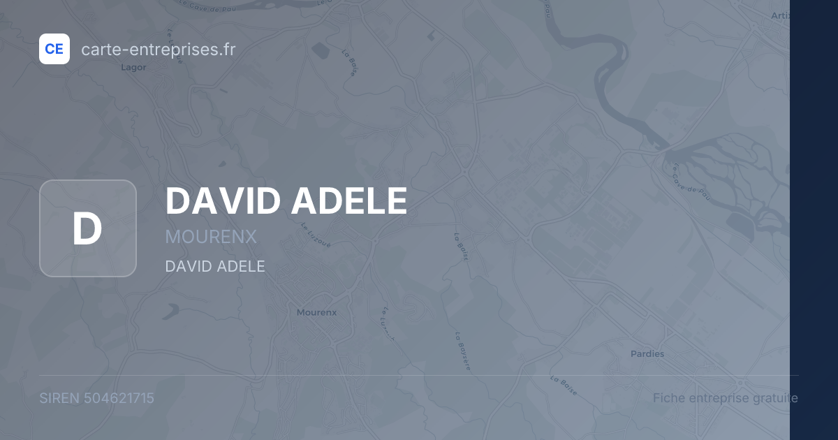 DAVID ADELE — 504621715 — fiche entreprise