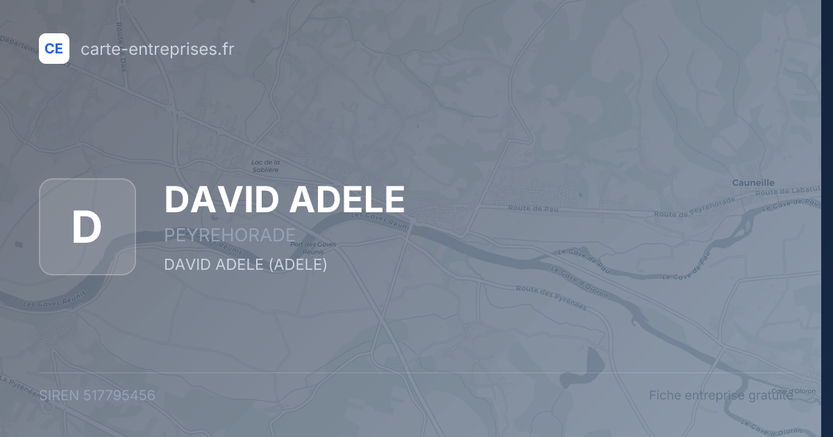 DAVID ADELE — 517795456 — fiche entreprise