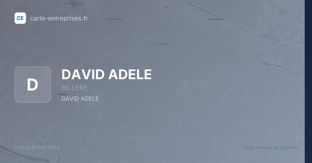DAVID ADELE — 809857865 — fiche entreprise