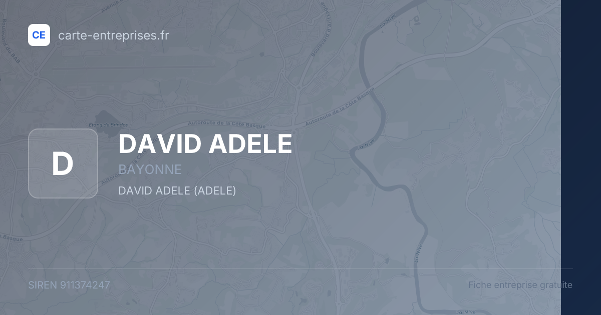 DAVID ADELE — 911374247 — fiche entreprise