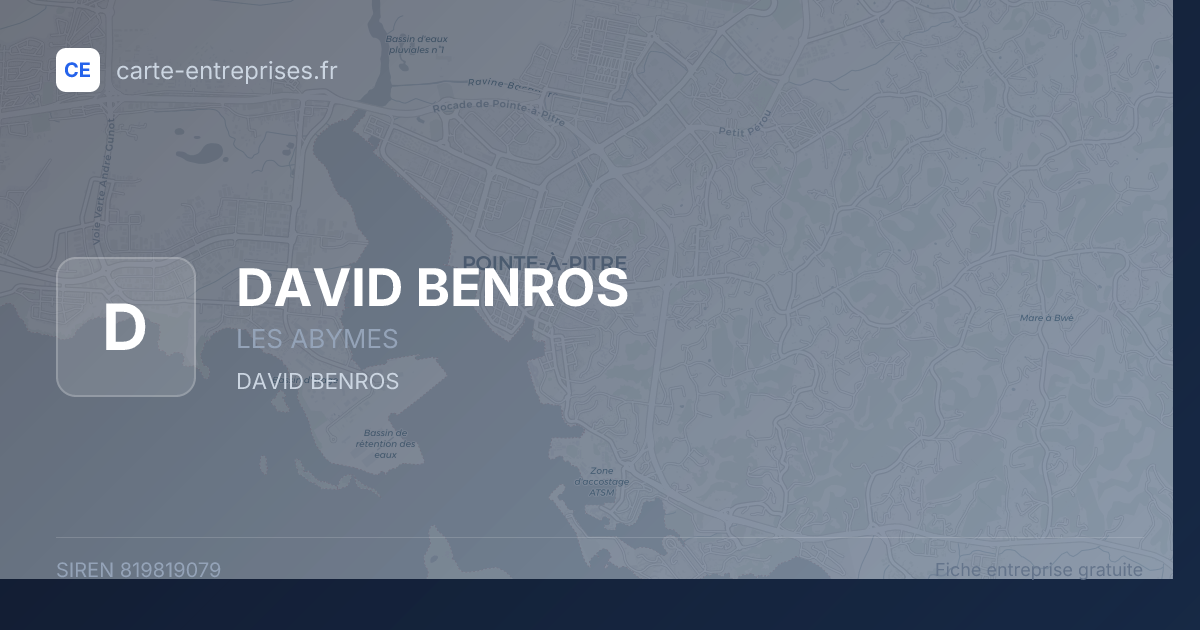DAVID BENROS — 819819079 — fiche entreprise