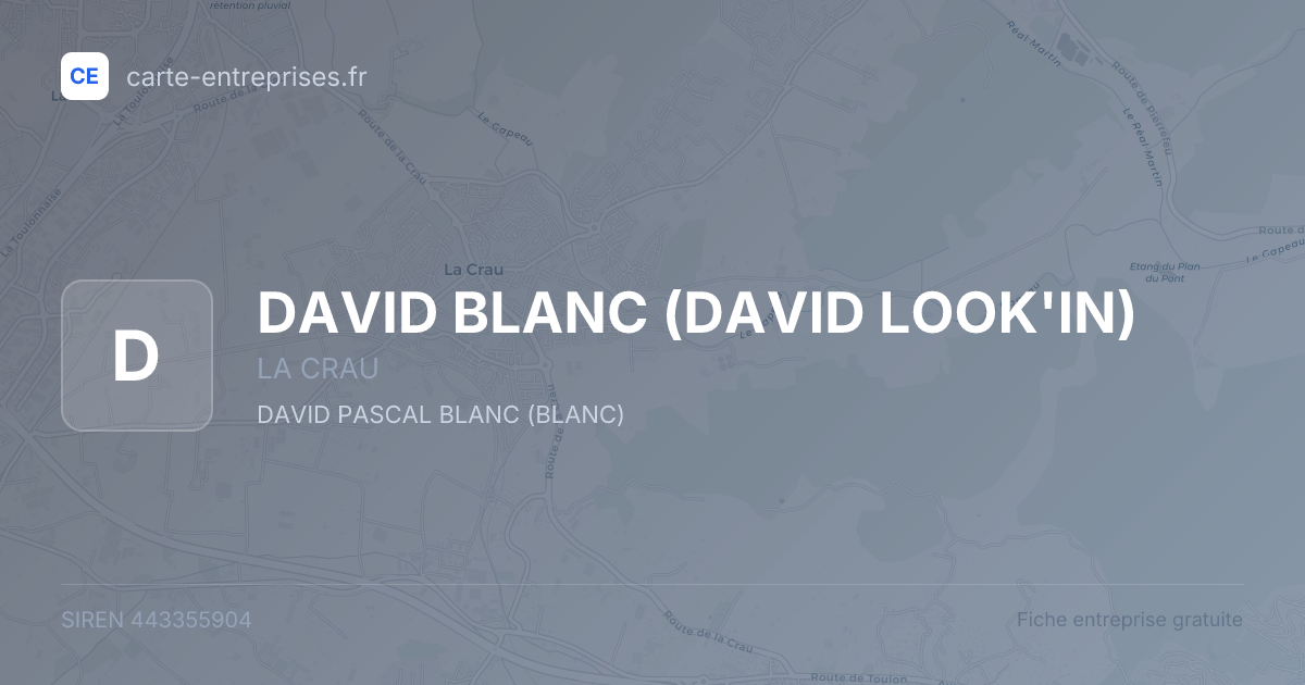 DAVID BLANC (DAVID LOOK'IN) — 443355904 — fiche entreprise