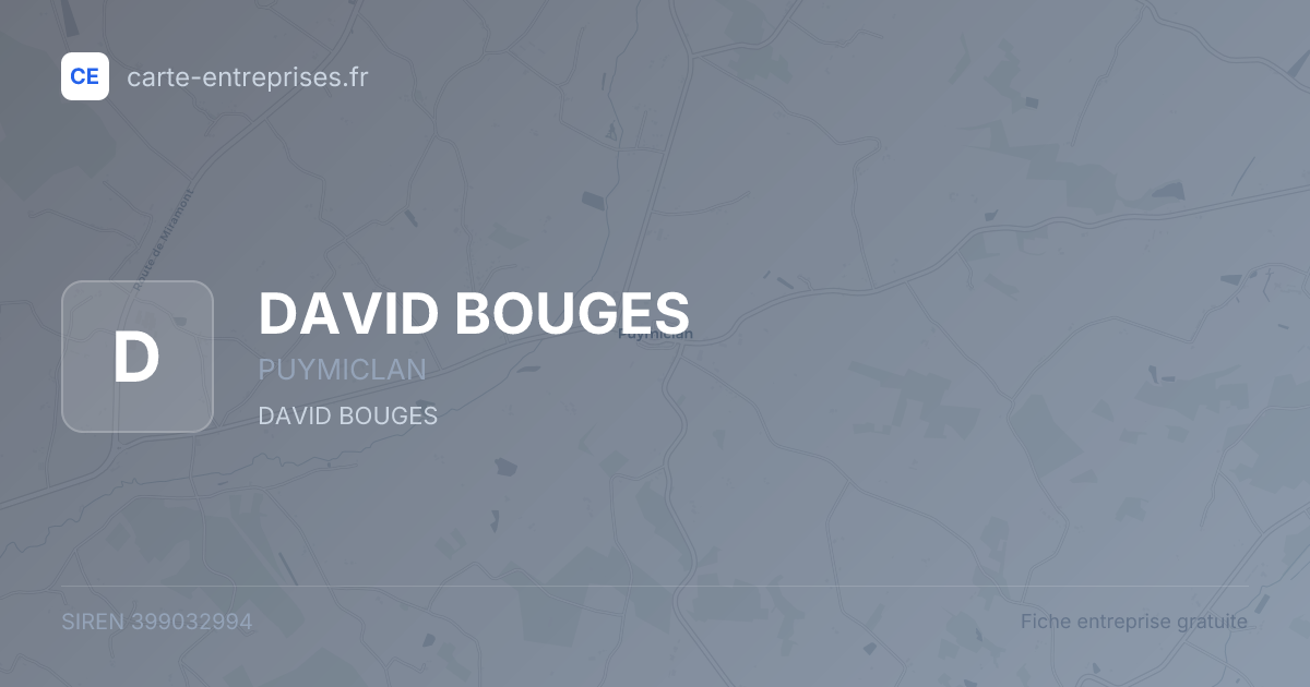 DAVID BOUGES — 399032994 — fiche entreprise