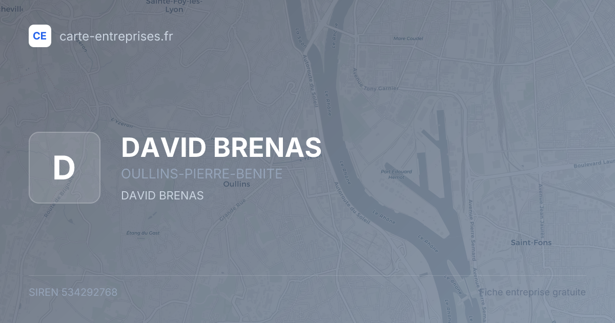 DAVID BRENAS — 534292768 — fiche entreprise