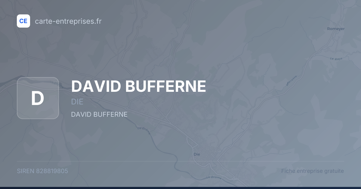 DAVID BUFFERNE — 828819805 — fiche entreprise