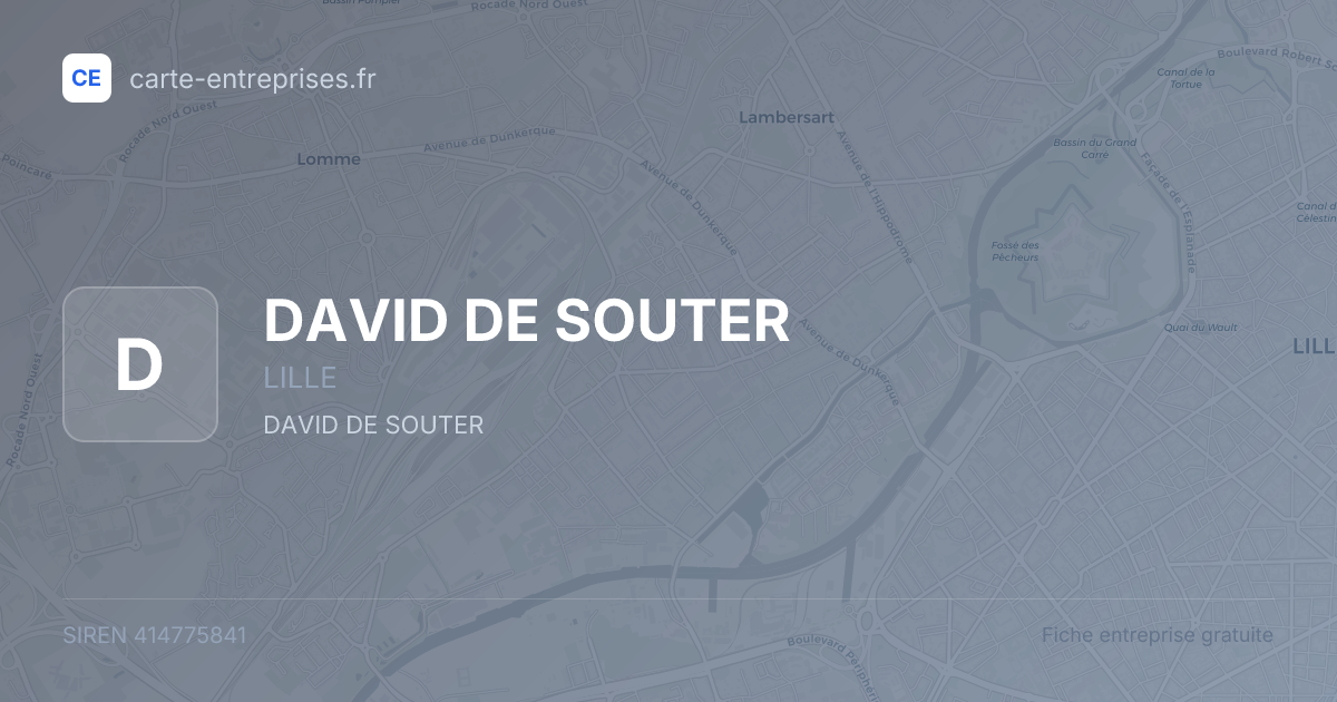 DAVID DE SOUTER — 414775841 — fiche entreprise