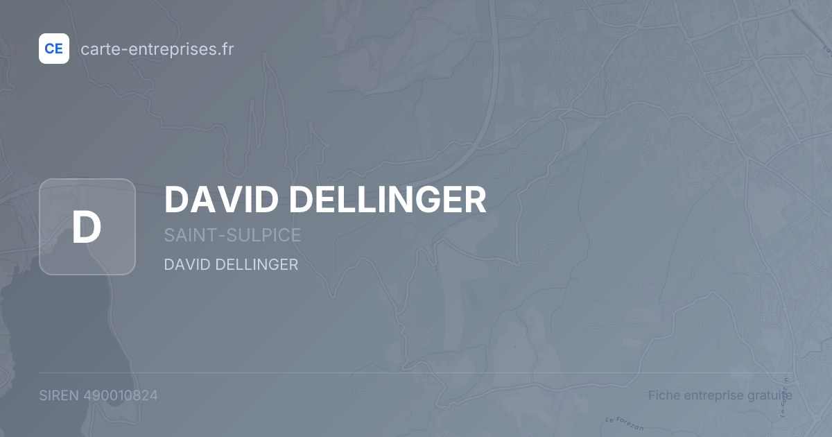 DAVID DELLINGER — 490010824 — fiche entreprise