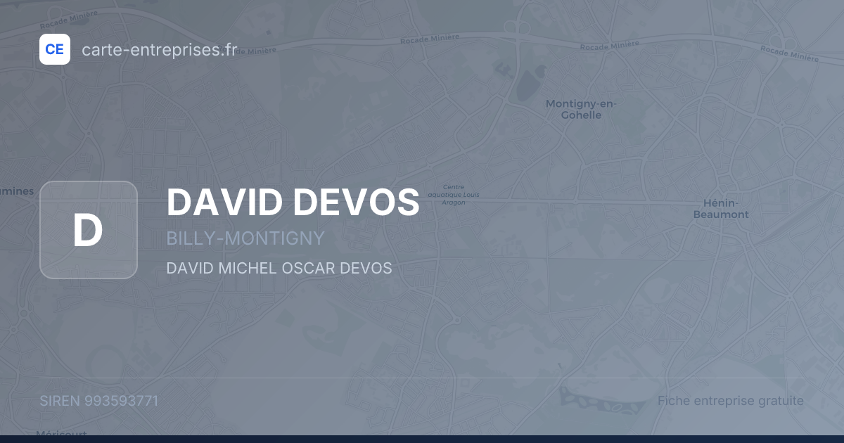 DAVID DEVOS — 993593771 — fiche entreprise