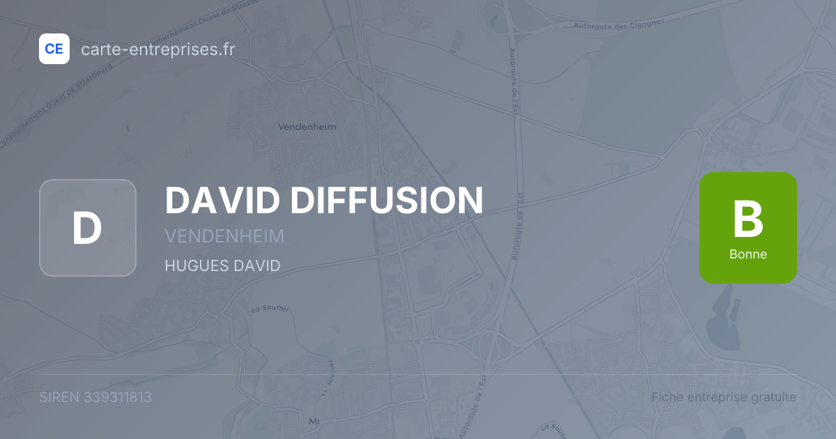 DAVID DIFFUSION — 339311813 — fiche entreprise