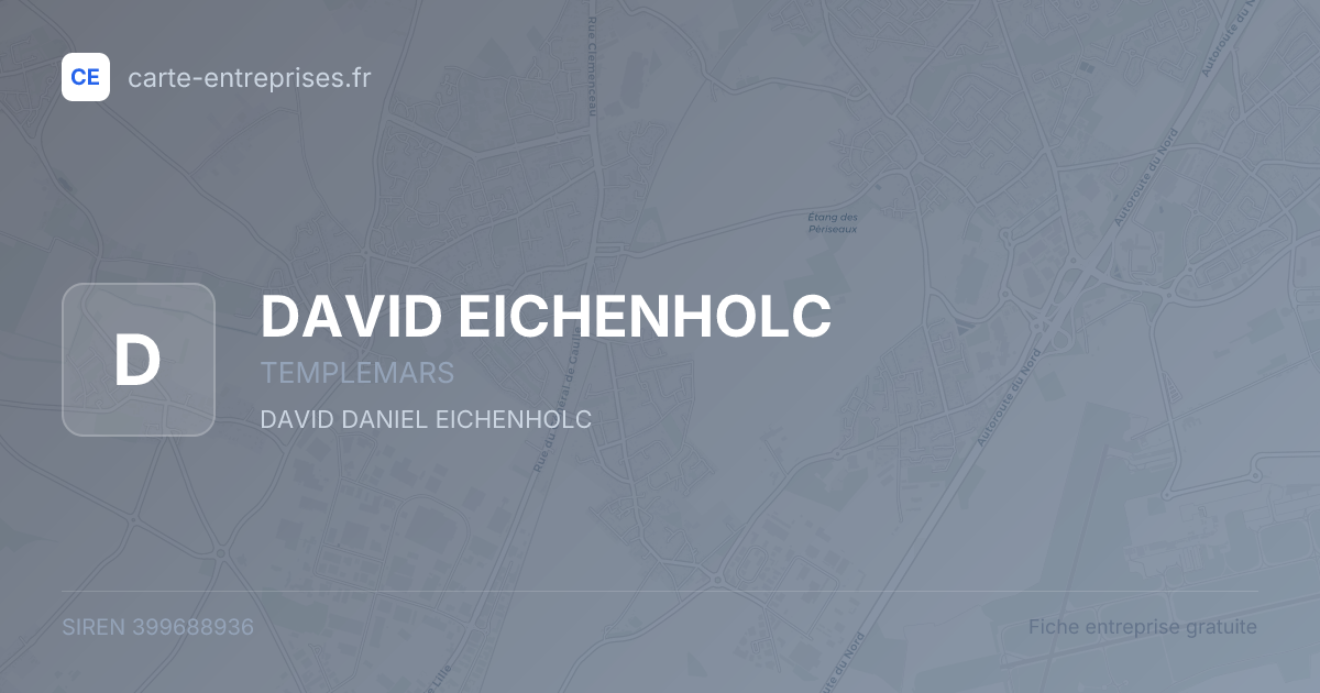 DAVID EICHENHOLC — 399688936 — fiche entreprise