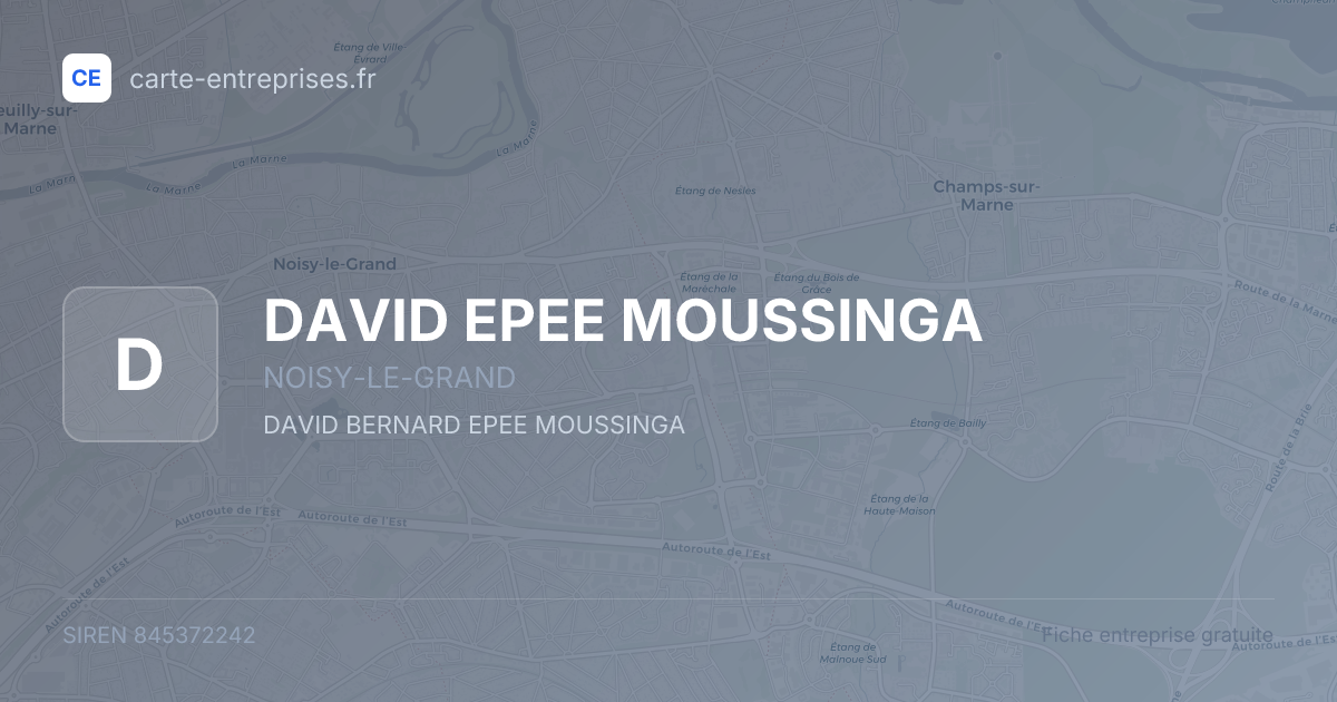 DAVID EPEE MOUSSINGA — 845372242 — fiche entreprise
