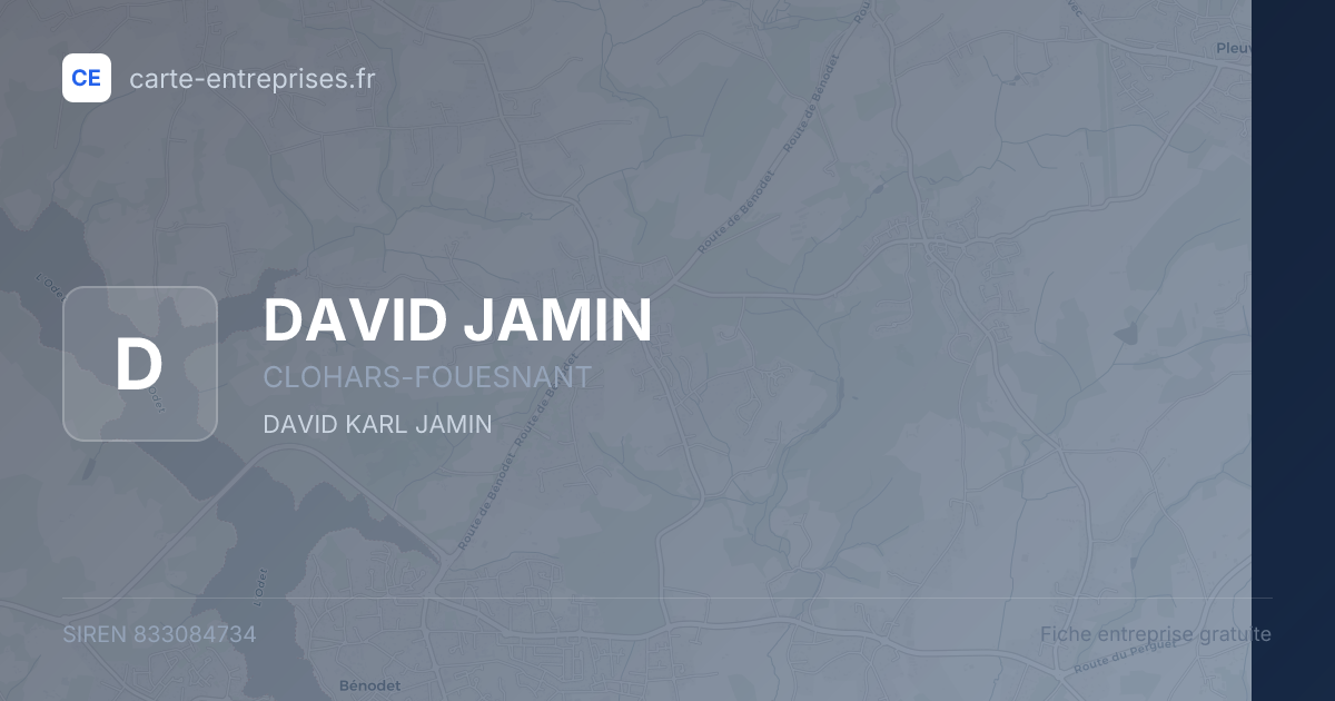 DAVID JAMIN — 833084734 — fiche entreprise