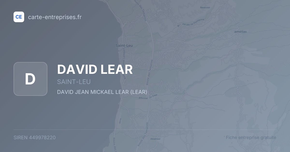 DAVID LEAR — 449978220 — fiche entreprise