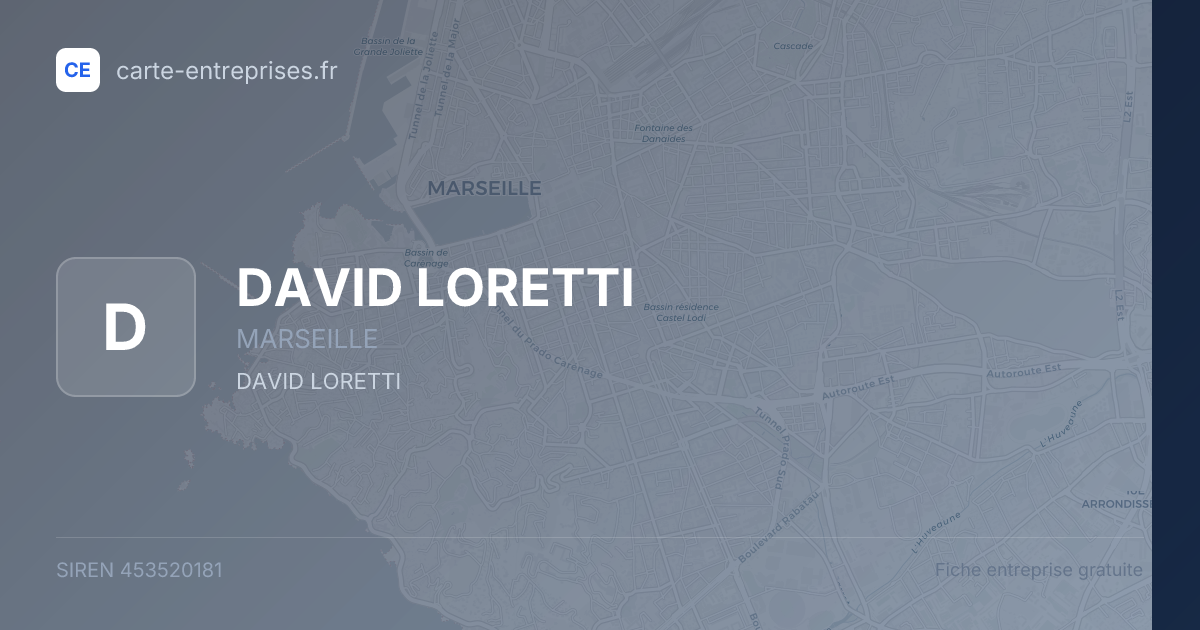 DAVID LORETTI — 453520181 — fiche entreprise