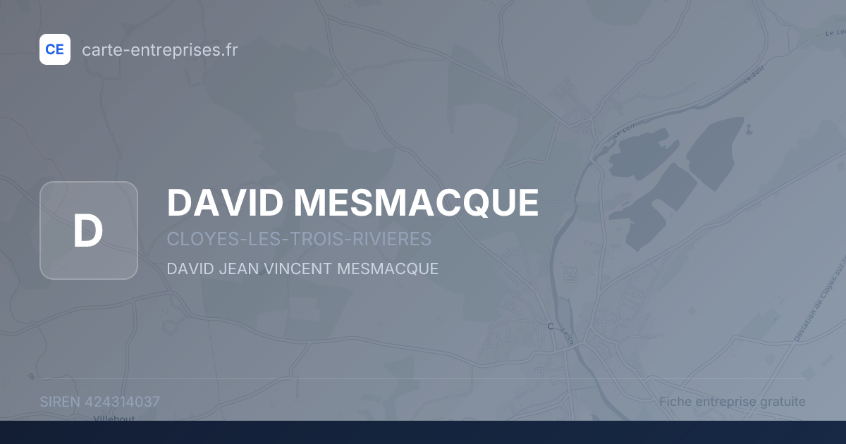 DAVID MESMACQUE — 424314037 — fiche entreprise