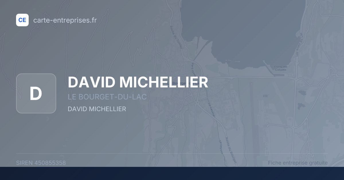 DAVID MICHELLIER — 450855358 — fiche entreprise