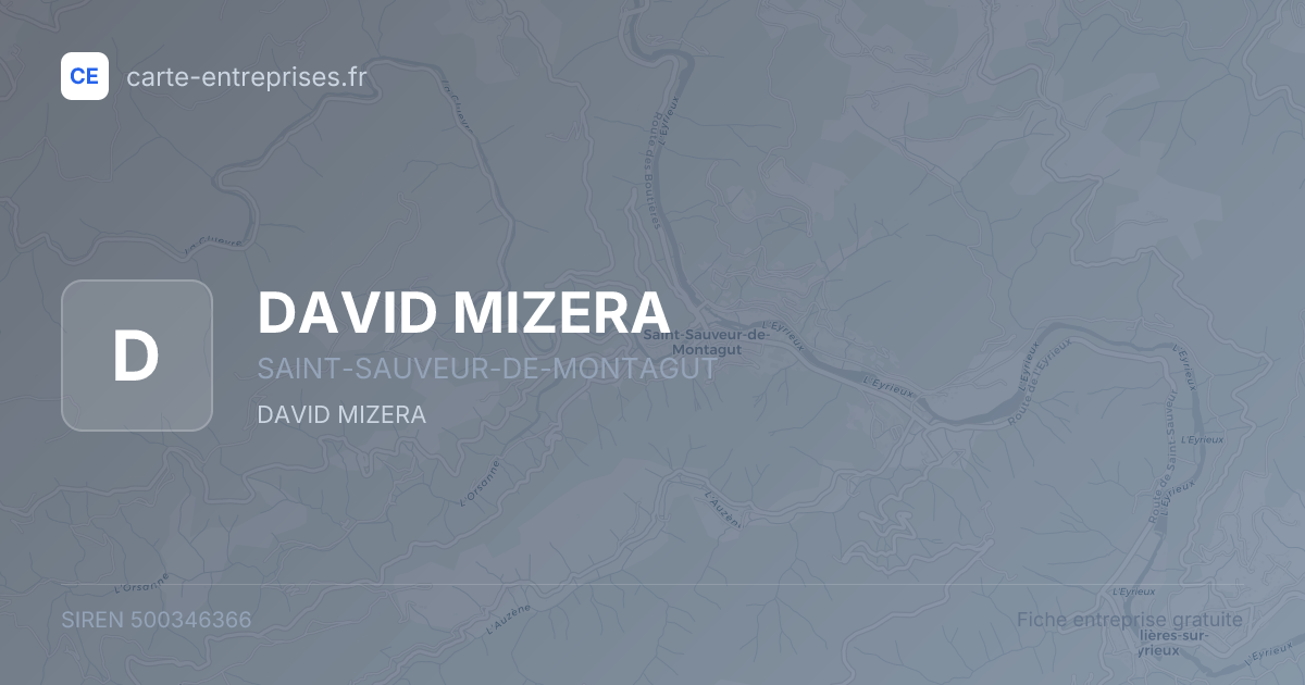 DAVID MIZERA — 500346366 — fiche entreprise