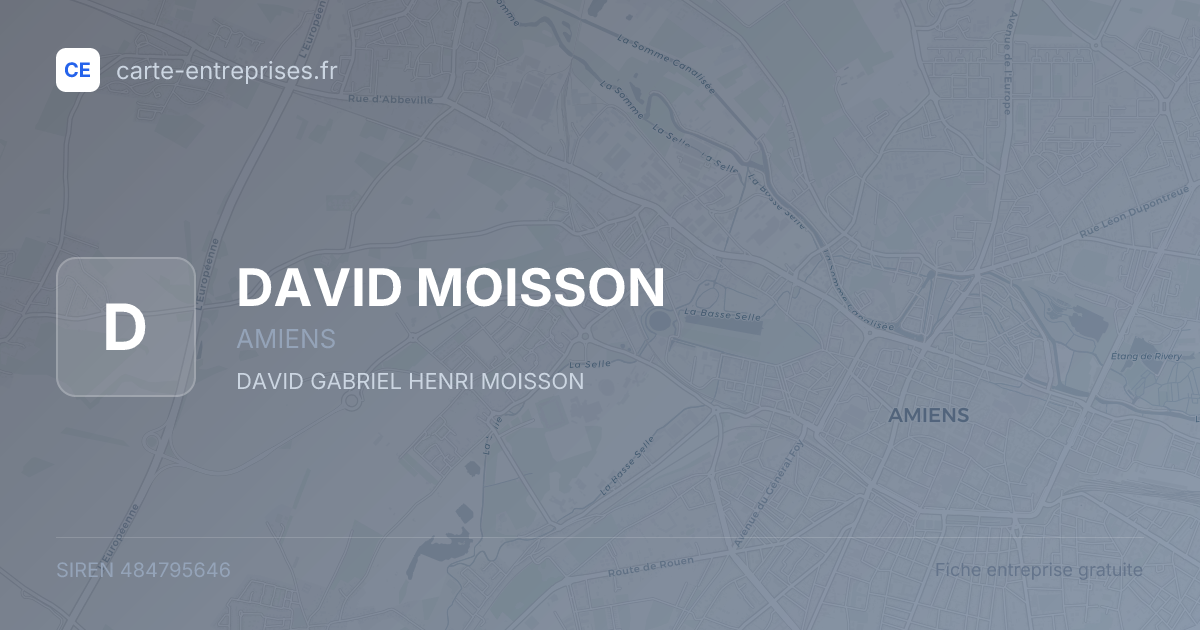 DAVID MOISSON — 484795646 — fiche entreprise