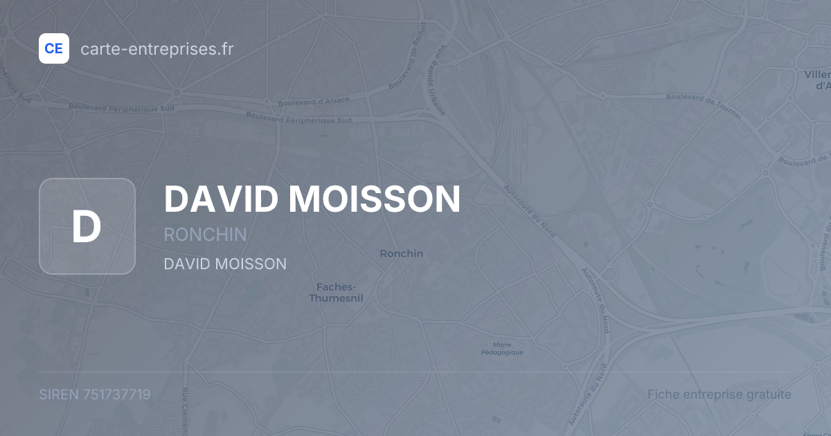 DAVID MOISSON — 751737719 — fiche entreprise