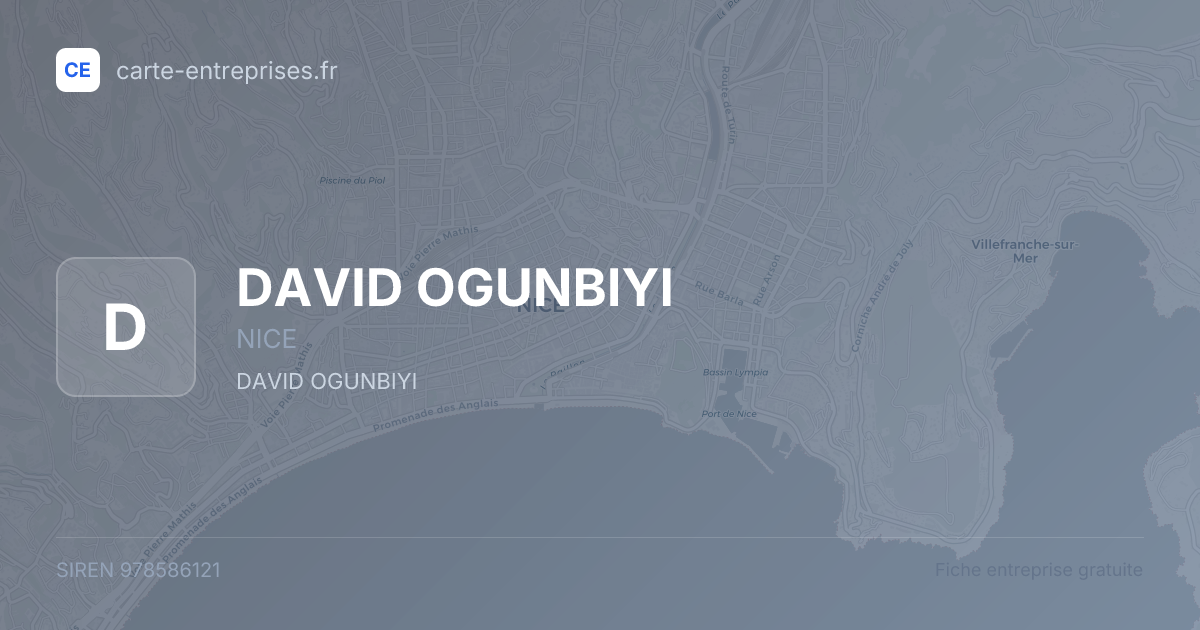 DAVID OGUNBIYI — 978586121 — fiche entreprise