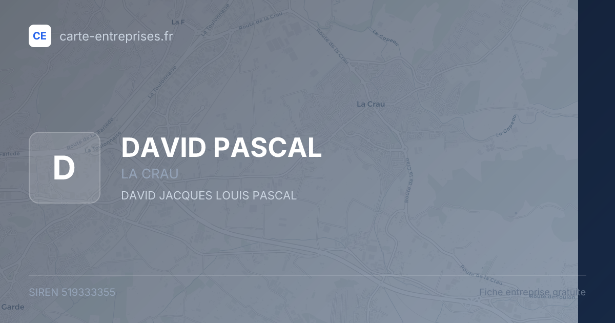 DAVID PASCAL — 519333355 — fiche entreprise
