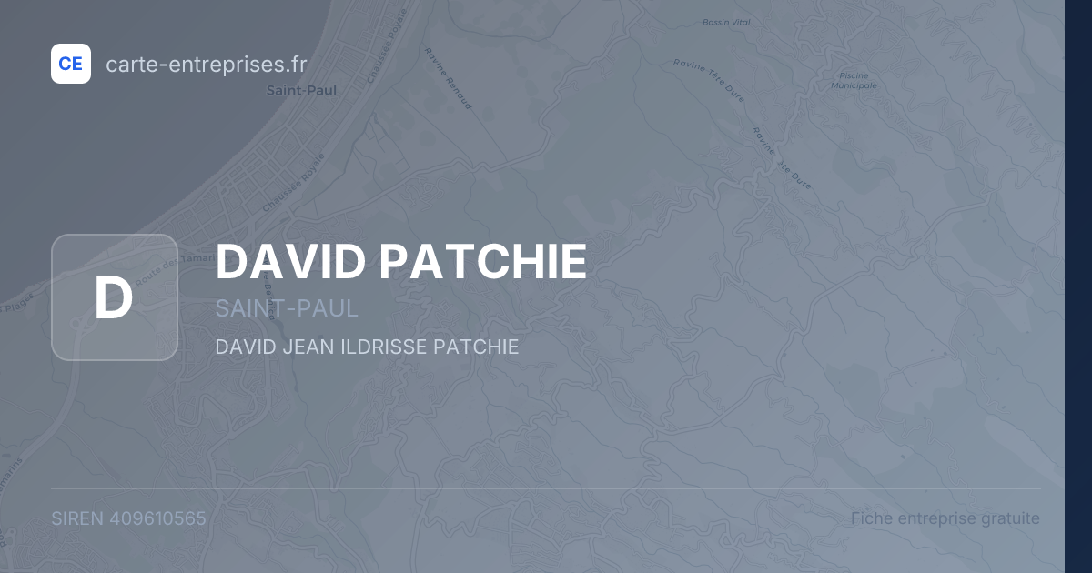 DAVID PATCHIE — 409610565 — fiche entreprise
