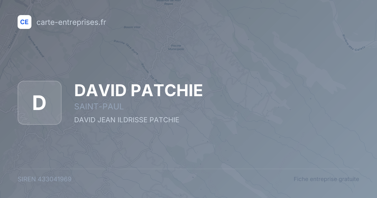 DAVID PATCHIE — 433041969 — fiche entreprise