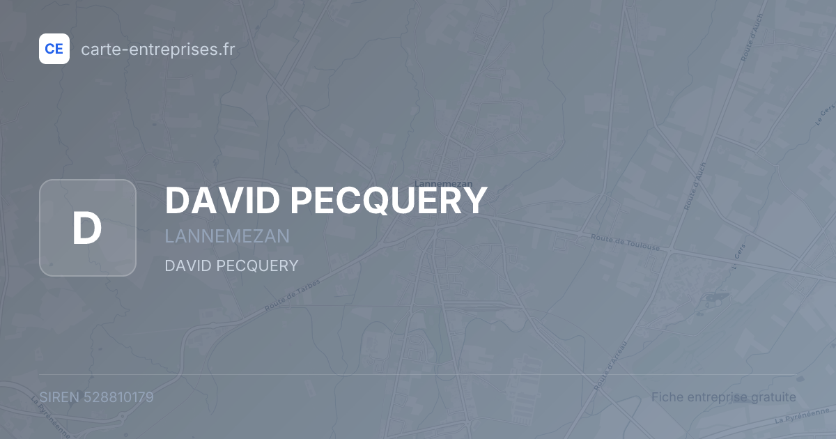 DAVID PECQUERY — 528810179 — fiche entreprise