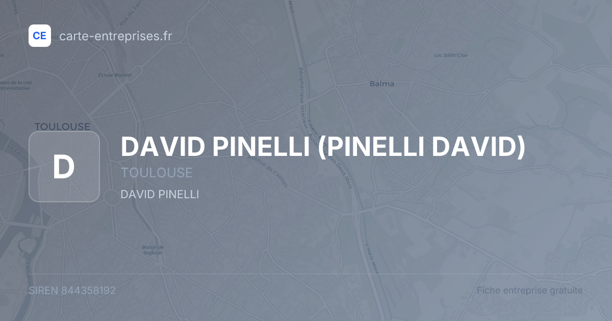 DAVID PINELLI (PINELLI DAVID) — 844358192 — fiche entreprise