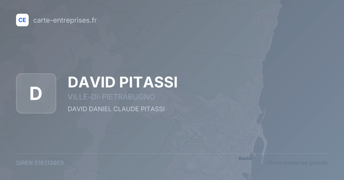 DAVID PITASSI — 518313903 — fiche entreprise