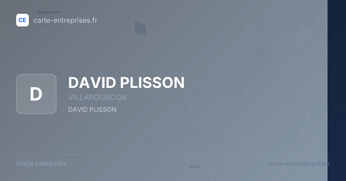 DAVID PLISSON — 449663764 — fiche entreprise