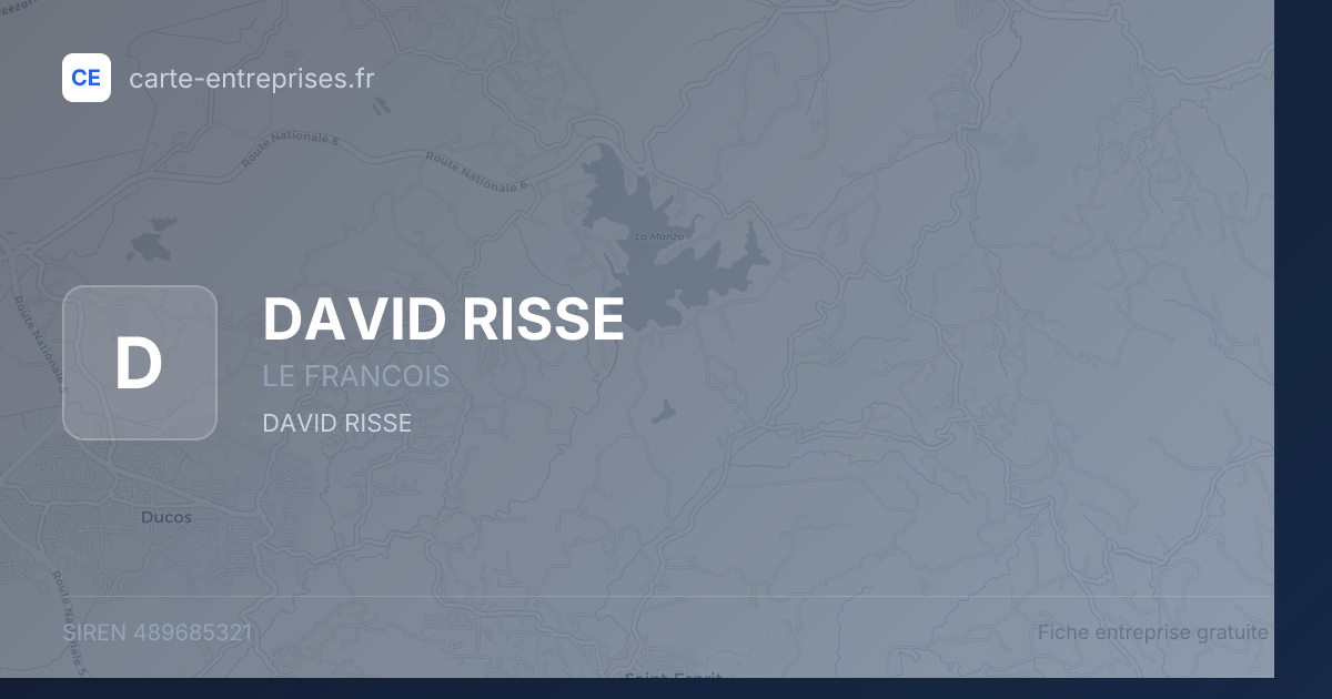 DAVID RISSE — 489685321 — fiche entreprise