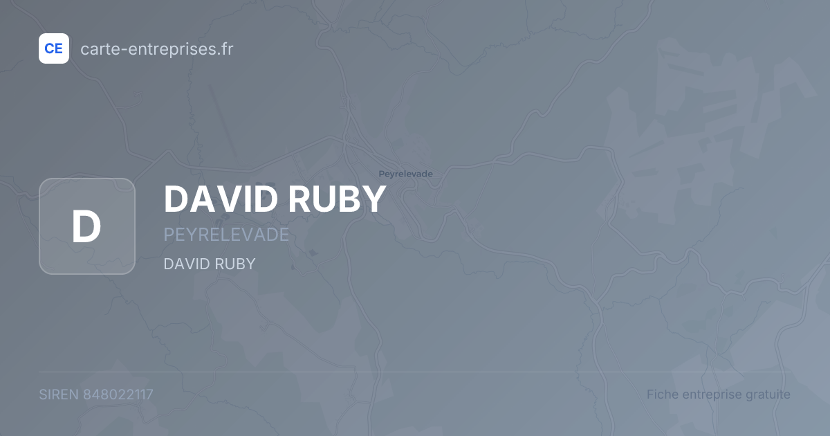 DAVID RUBY — 848022117 — fiche entreprise