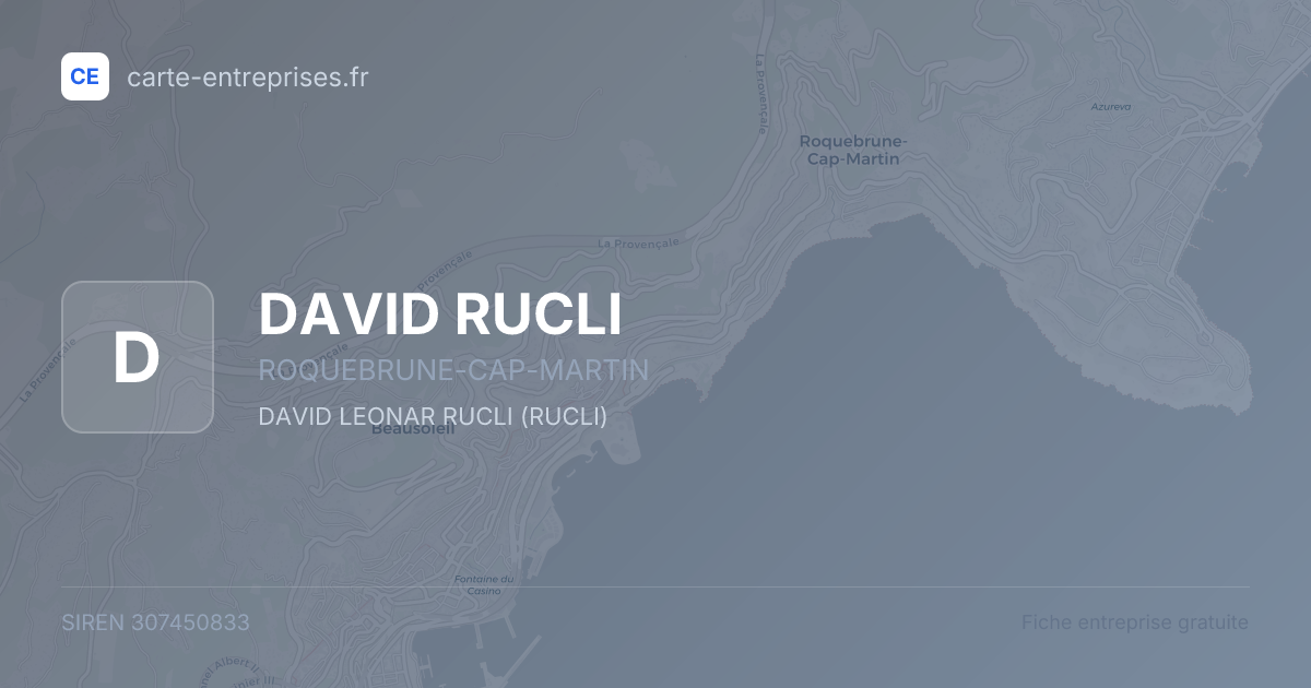 DAVID RUCLI — 307450833 — fiche entreprise