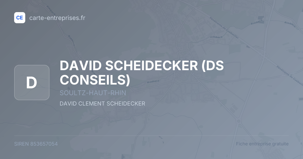 DAVID SCHEIDECKER (DS CONSEILS) — 853657054 — fiche entreprise