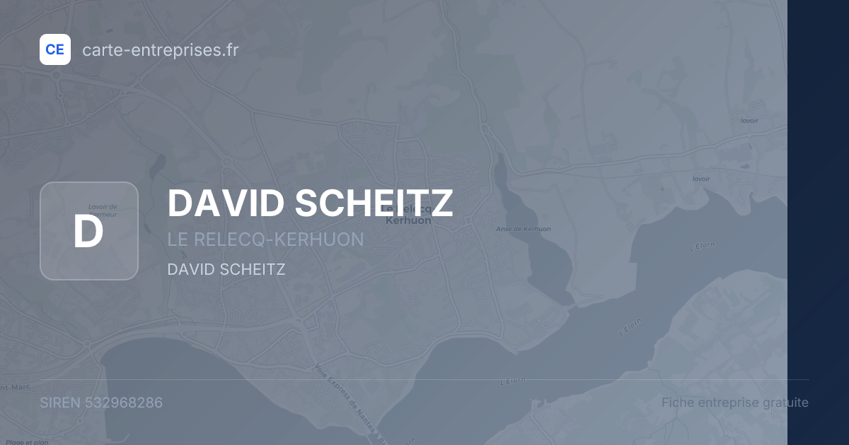 DAVID SCHEITZ — 532968286 — fiche entreprise