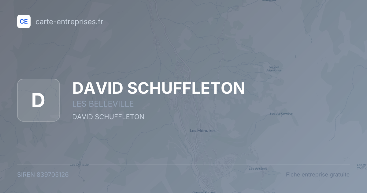 DAVID SCHUFFLETON — 839705126 — fiche entreprise