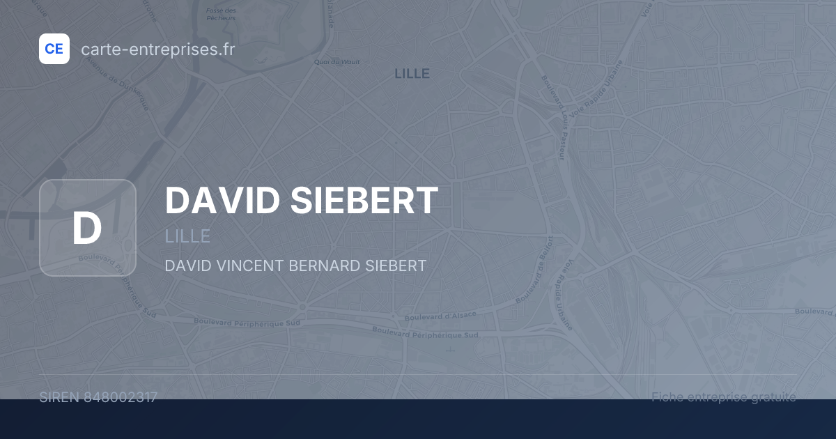 DAVID SIEBERT — 848002317 — fiche entreprise