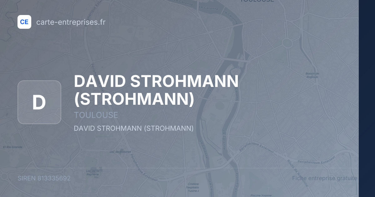 DAVID STROHMANN (STROHMANN) — 813335692 — fiche entreprise