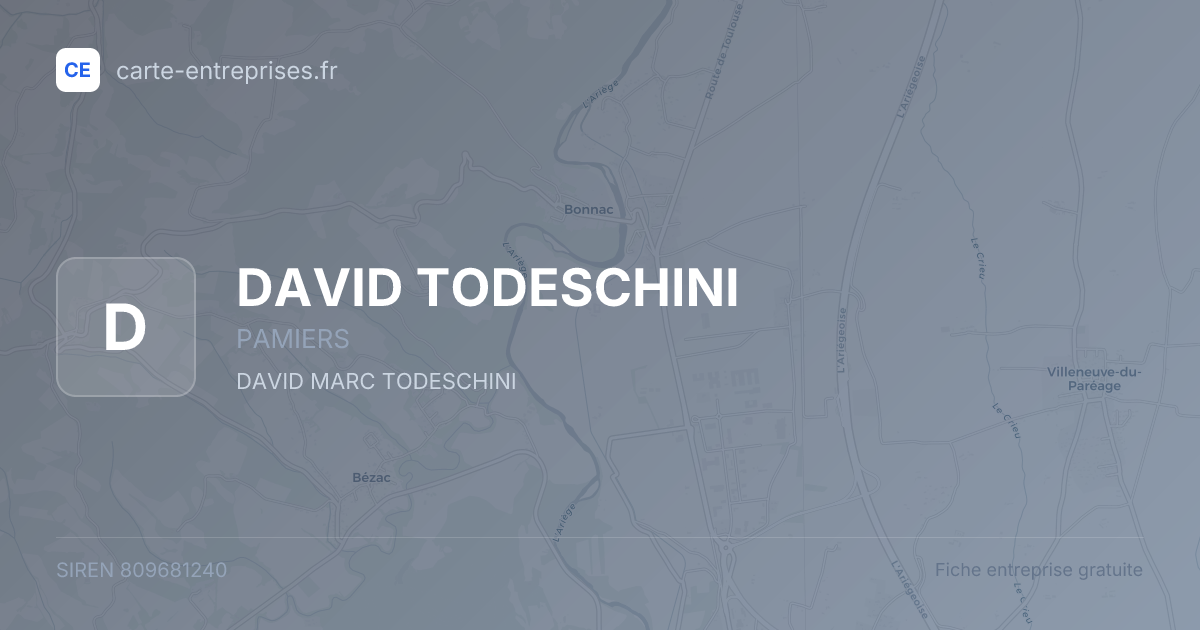 DAVID TODESCHINI — 809681240 — fiche entreprise