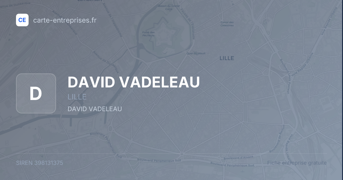 DAVID VADELEAU — 398131375 — fiche entreprise