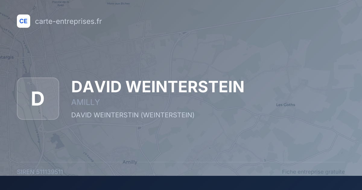 DAVID WEINTERSTEIN — 511139511 — fiche entreprise